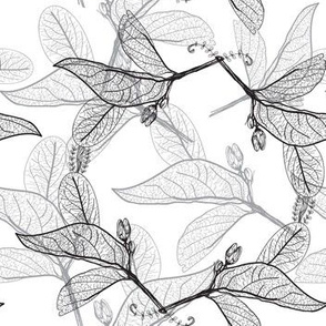 Leaves contours on a white. floral  hand-drawn pattern