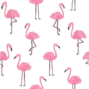 Flamingo on white
