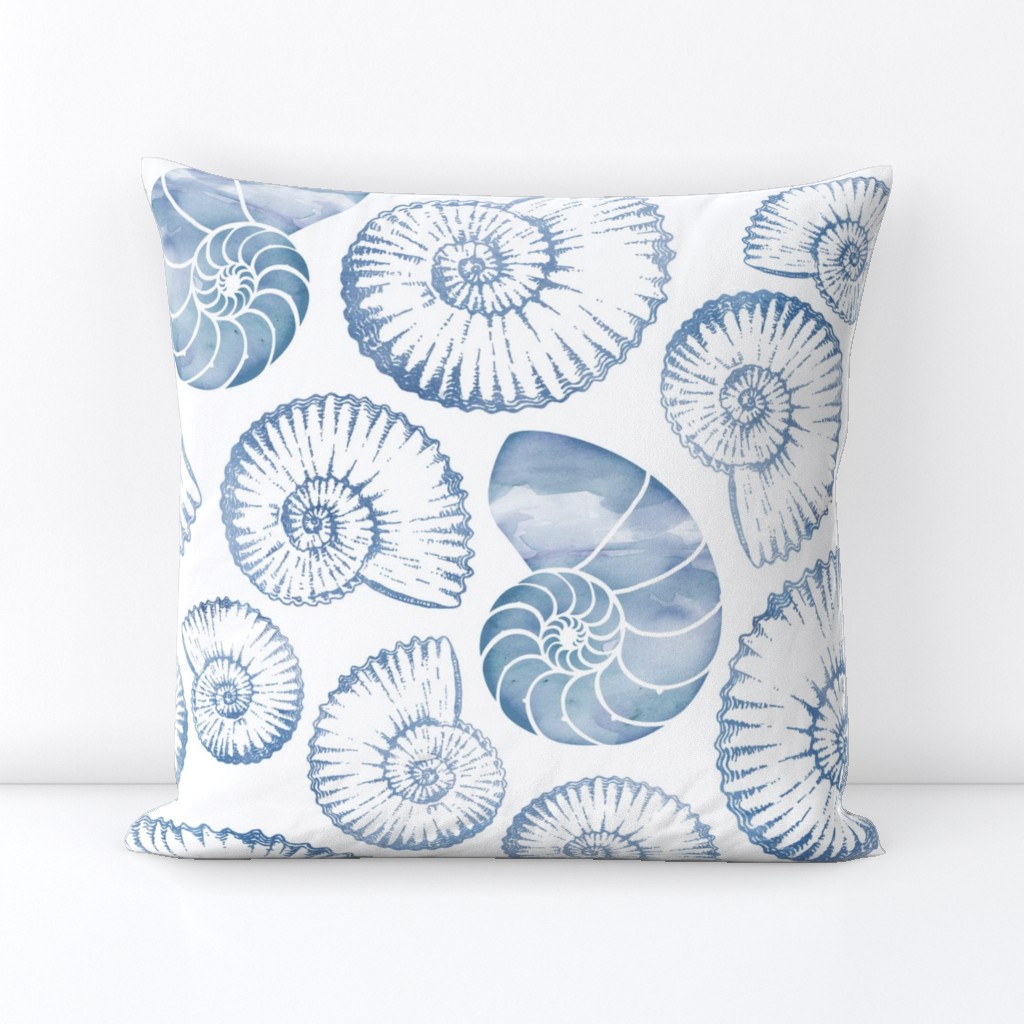 Blue nautilus shells pastel