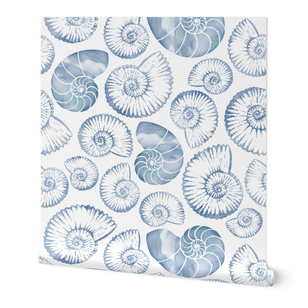 Blue nautilus shells pastel
