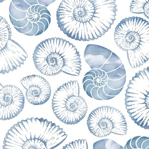 Blue nautilus shells pastel