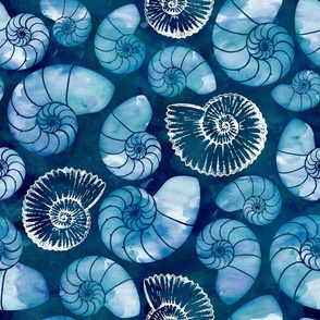 Nautilus fossils in sapphire blue