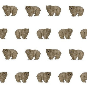 abc quilt //  bears ABC's animals nursery fabric