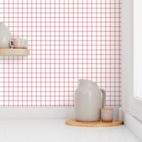 bold coral windowpane grid 1" square check graph paper