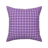 amethyst purple windowpane grid 1" reversed square check graph paper