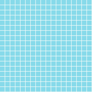 sky blue windowpane grid 1" reversed square check graph paper