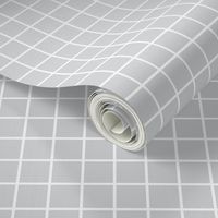 light grey windowpane grid 1" reversed square check graph paper