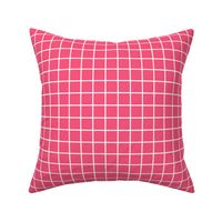 hot pink windowpane grid 1" reversed square check graph paper