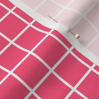 hot pink windowpane grid 1" reversed square check graph paper