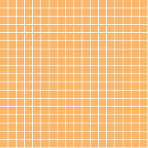 mango orange windowpane grid 1" reversed square check graph paper