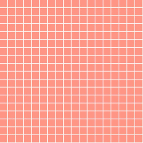 peach windowpane grid 1" reversed square check graph paper