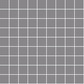 granite grey windowpane grid 2" reversed square check graph paper