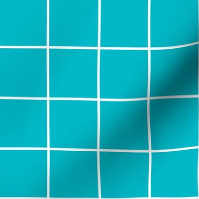 surfer blue windowpane grid 2" reversed square check graph paper
