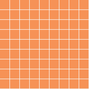 tangerine orange windowpane grid 2" reversed square check graph paper