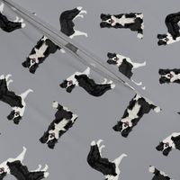 border collie dog breed fabric pet lovers sewing projects grey