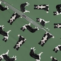 border collie dog breed fabric pet lovers sewing projects green