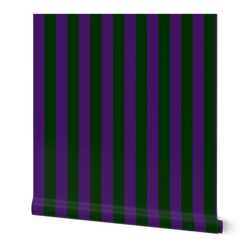 FDL stripe coordinate - purple green