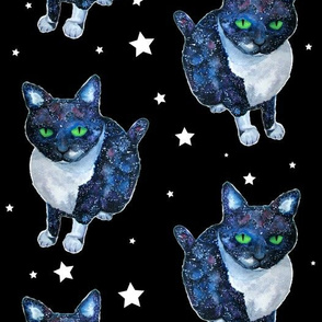 Galaxy Cats 
