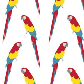 parrot pattern