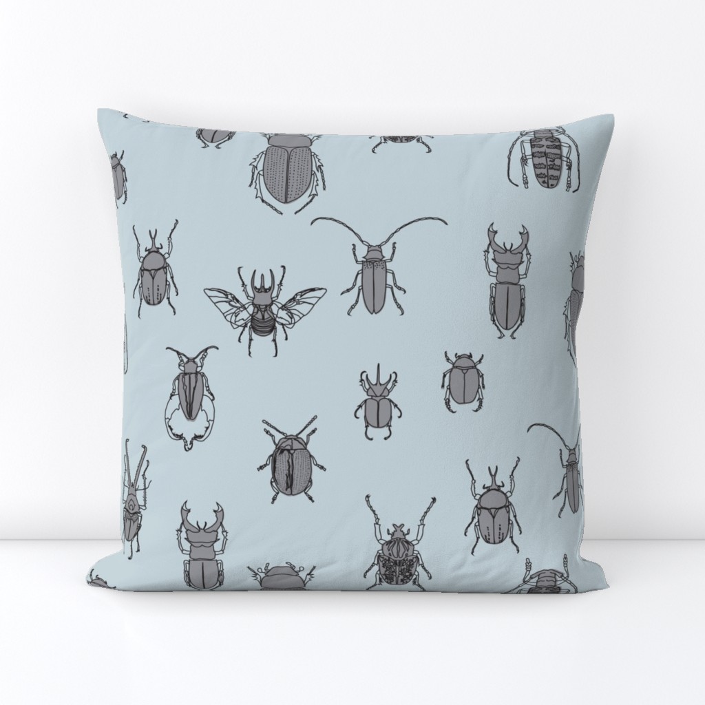 beetles black and grey on blue