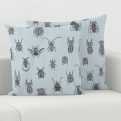 beetles black and grey on blue