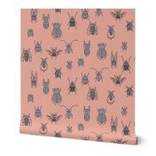 beetles in black and grey on peach