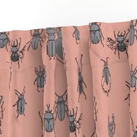 beetles in black and grey on peach