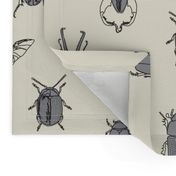 beetles black and grey on natural