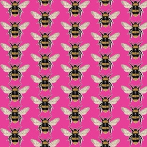 BUMBLE BEES Hot Happy Pink