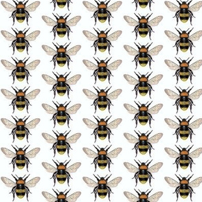 BUMBLE BEES To Happy Honey