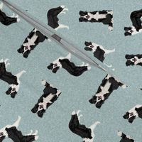 border collie pet quilt b quilt coordinate dog breed nursery fabric