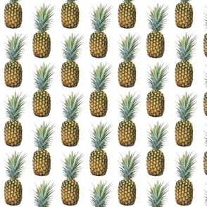 Pineapple Mania