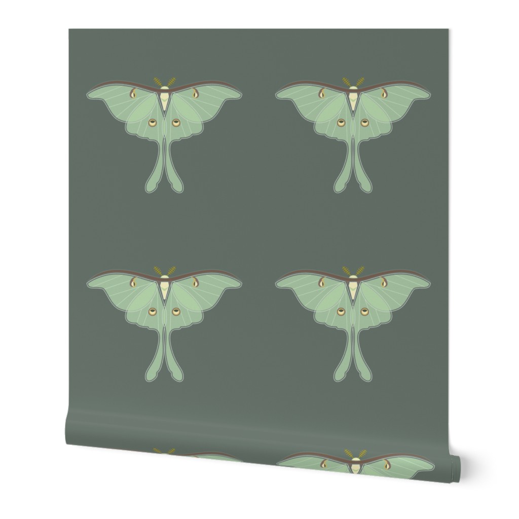 Luna Moth panel