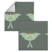 Luna Moth panel