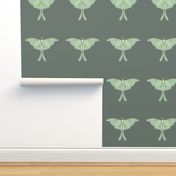 Luna Moth panel