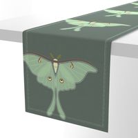 Luna Moth panel