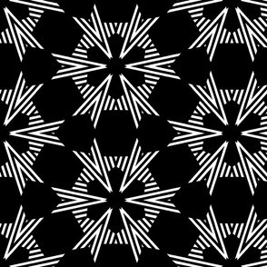 Black And White Art Deco Geometric Star Pattern