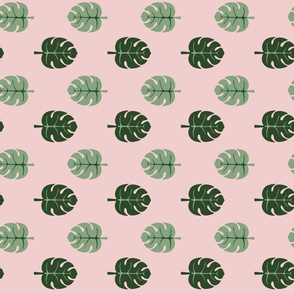 Monstera leaves pink and green