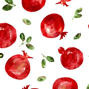 Watercolor pomegranate, large scale