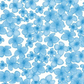 Blue Blossoms On White
