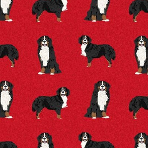 bernese mountain dog pet quilt a coordinate dog fabric 