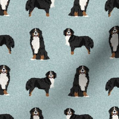 bernese mountain dog pet quilt b coordinate dog fabric 