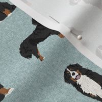 bernese mountain dog pet quilt b coordinate dog fabric 