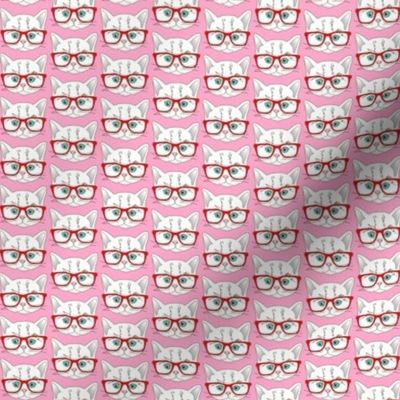 Kitten Hipster Pink Small