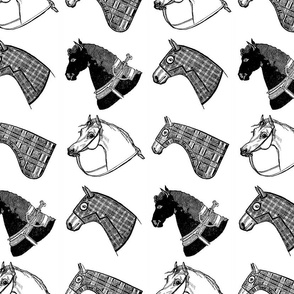 Vintage Horse Heads Illustrated (large version)