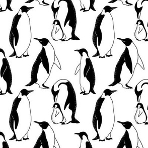 cute penguins design