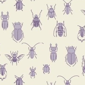 beetles in lavender on natural (small scale)