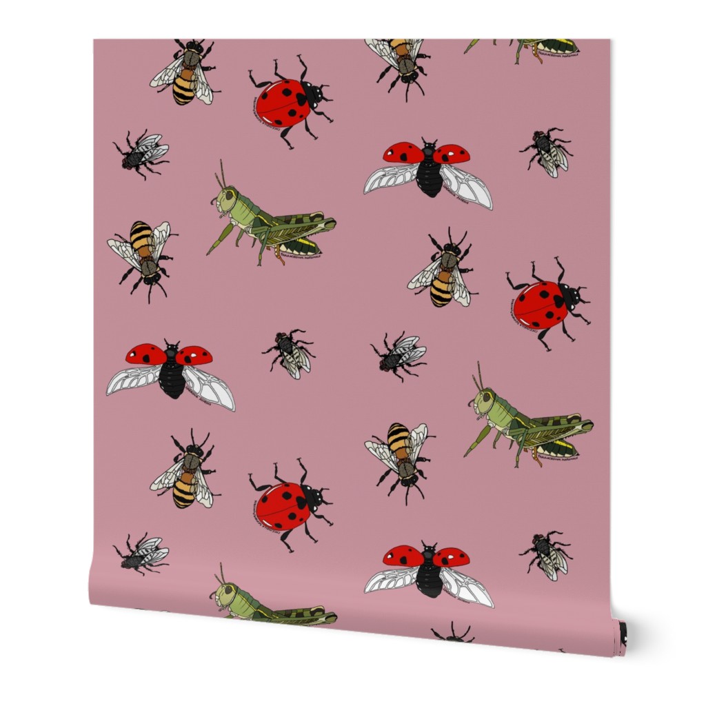 Insect repeat pink