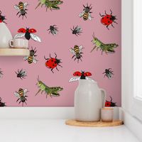 Insect repeat pink