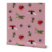 Insect repeat pink